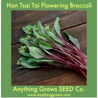 Broccoli - Hon Tsai Tai - Organic